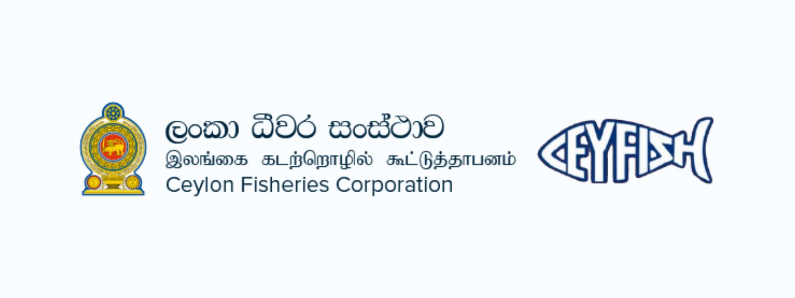 CFC to Expand Urban Outle